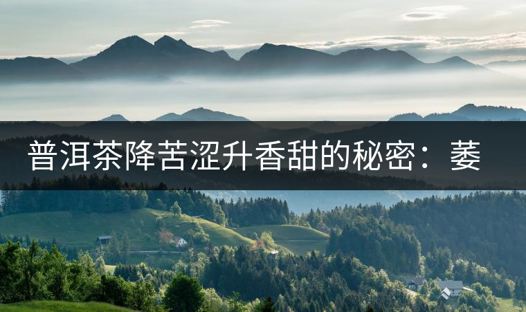 普洱茶降苦澀升香甜的秘密:萎凋 普洱茶降苦澀升香甜的秘密:萎凋