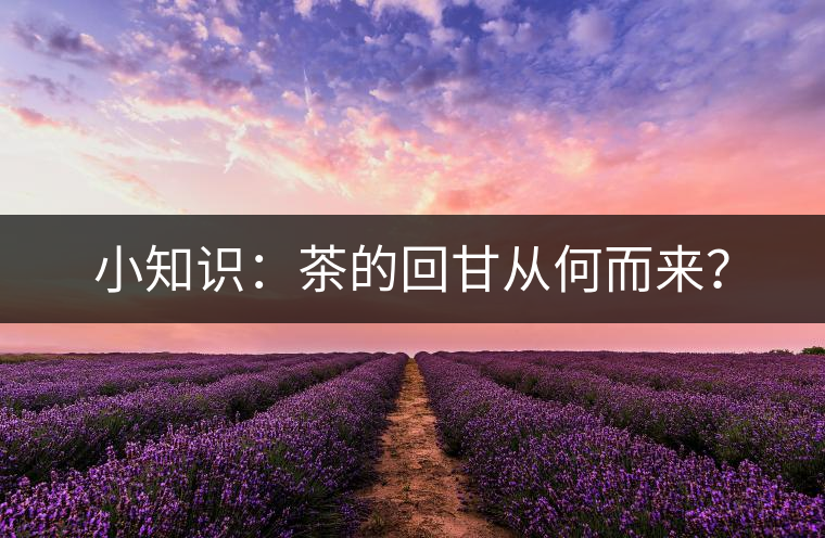 小知識(shí)：茶的回甘從何而來(lái)？