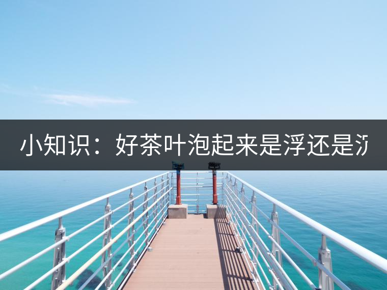 小知識(shí)：好茶葉泡起來是浮還是沉？