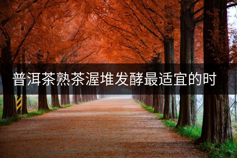 普洱茶熟茶渥堆發(fā)酵最適宜的時(shí)期是什么時(shí)候？