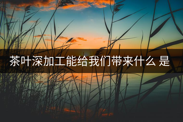 茶葉深加工能給我們帶來(lái)什么 是利還是弊呢？