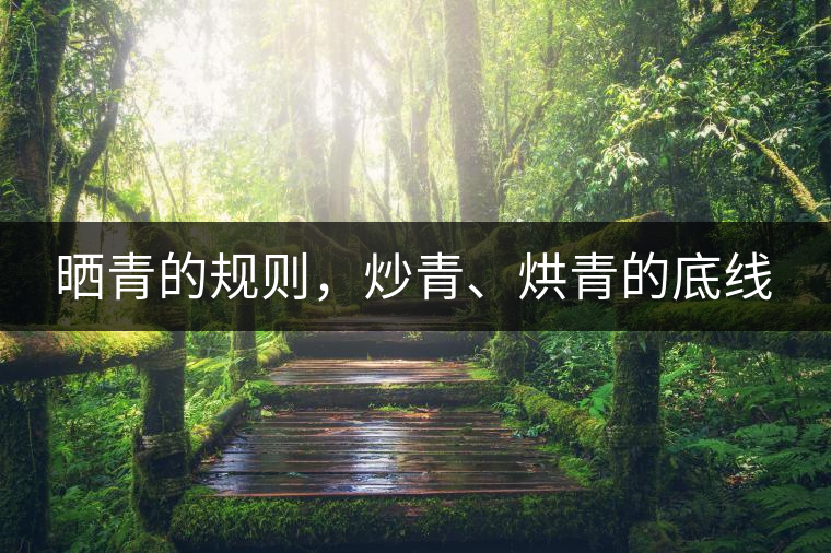 曬青的規(guī)則，炒青、烘青的底線