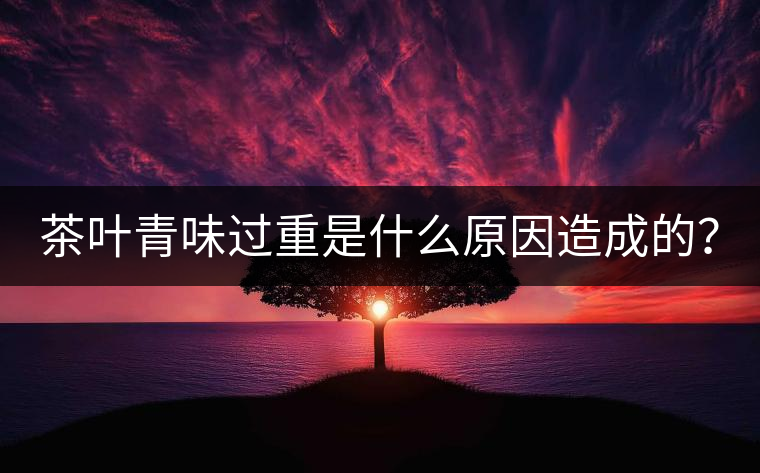 茶葉青味過重是什么原因造成的？