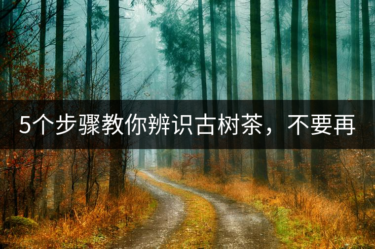 5個(gè)步驟教你辨識(shí)古樹(shù)茶，不要再被騙了！