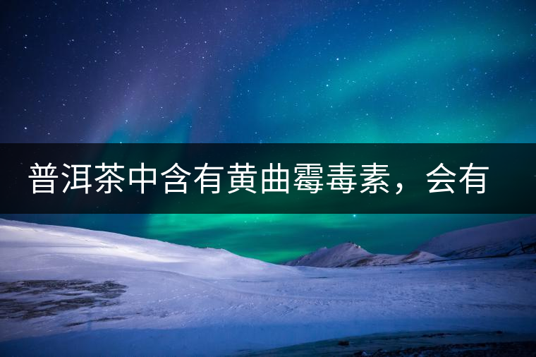普洱茶中含有黃曲霉毒素，會(huì)有致癌的危險(xiǎn)？終于有明確的答案了