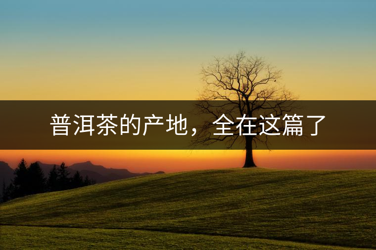 普洱茶的產(chǎn)地，全在這篇了