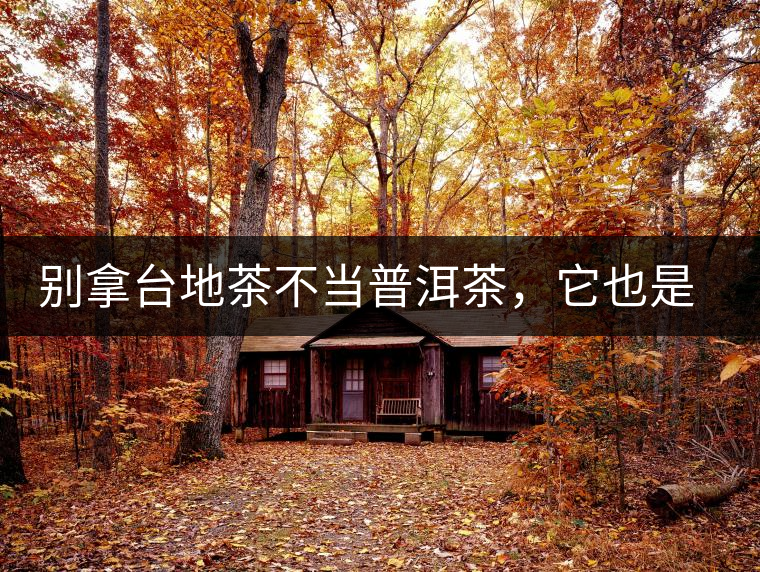 別拿臺地茶不當(dāng)普洱茶，它也是大葉種喬木