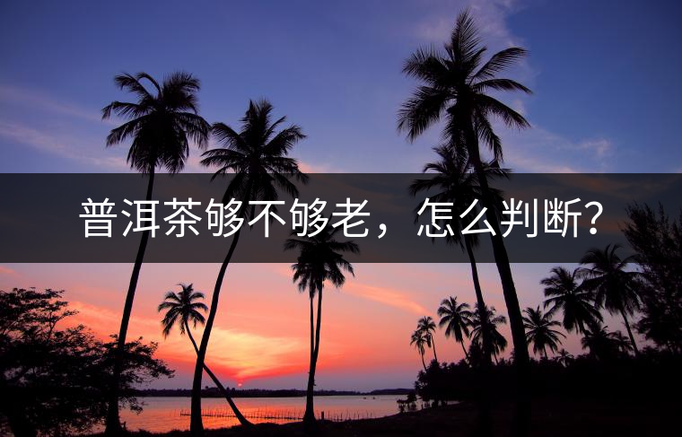 普洱茶夠不夠老，怎么判斷？