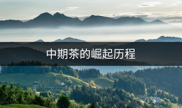 中期茶的崛起歷程 中期茶的崛起歷程