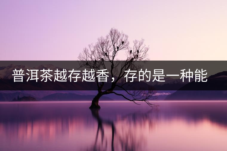 普洱茶越存越香，存的是一種能量