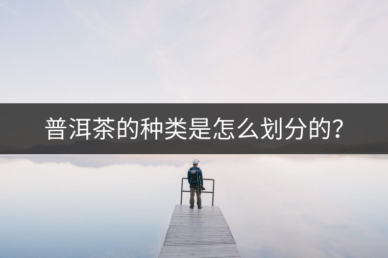 普洱茶的種類是怎么劃分的？