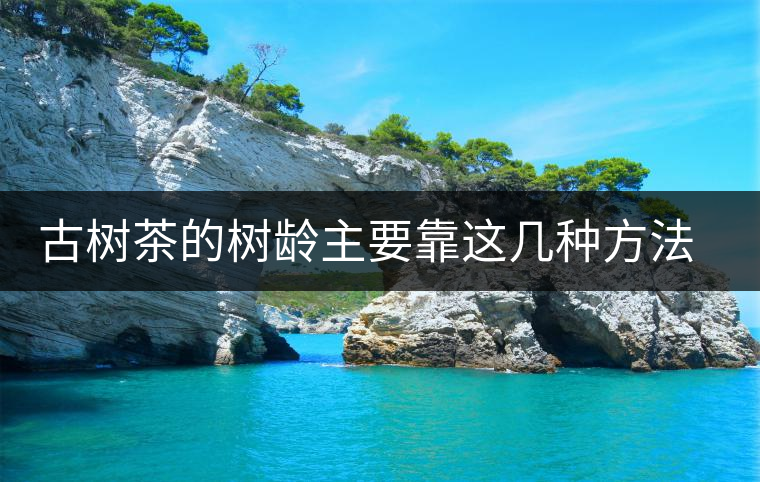 古樹茶的樹齡主要靠這幾種方法測量 古樹茶的樹齡主要靠這幾種方法測量
