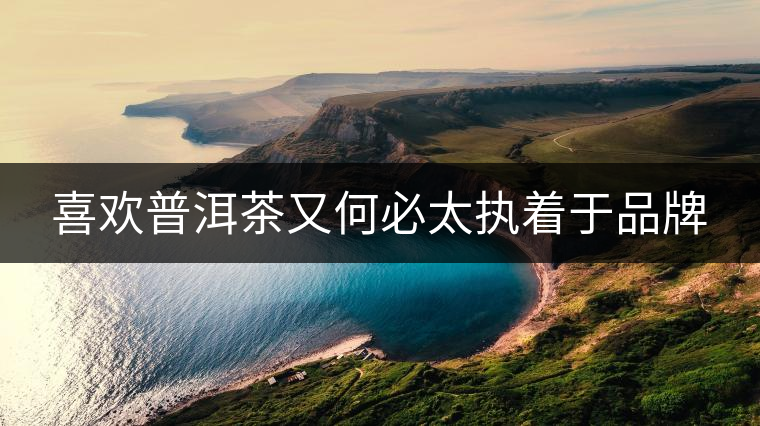 喜歡普洱茶又何必太執(zhí)著于品牌