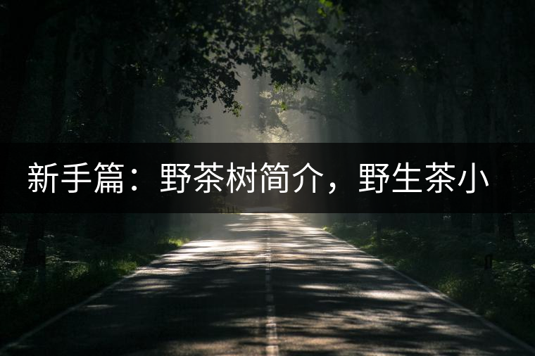 新手篇：野茶樹簡介，野生茶小知識