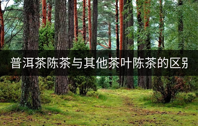 普洱茶陳茶與其他茶葉陳茶的區(qū)別！