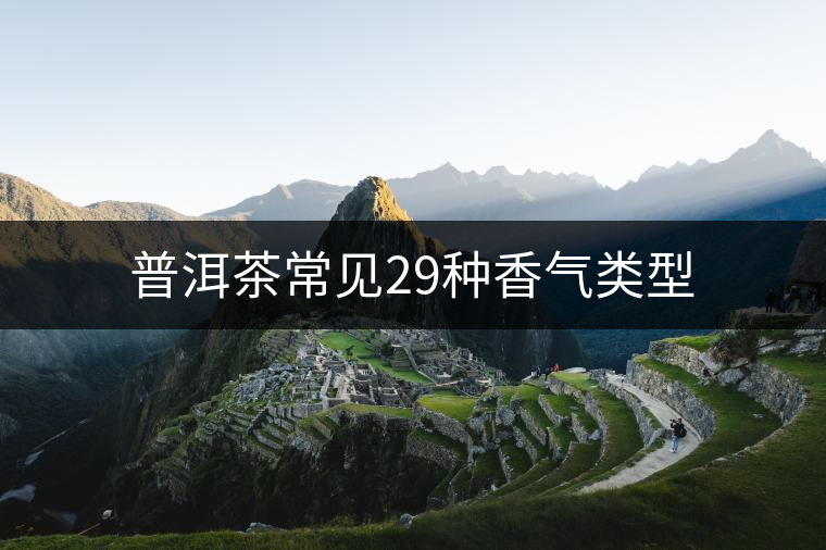 普洱茶常見(jiàn)29種香氣類(lèi)型