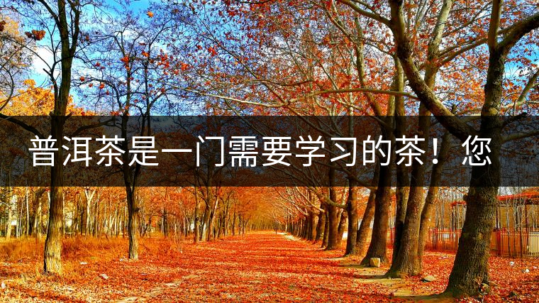 普洱茶是一門需要學(xué)習(xí)的茶！您學(xué)到了多少？看看專家怎么說