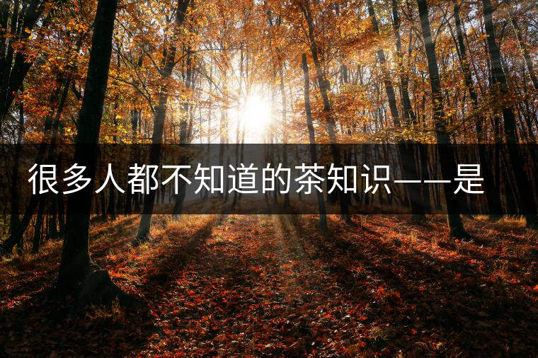 很多人都不知道的茶知識——是什么造就了普洱茶的一山一味？