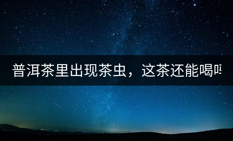 普洱茶里出現(xiàn)茶蟲，這茶還能喝嗎？