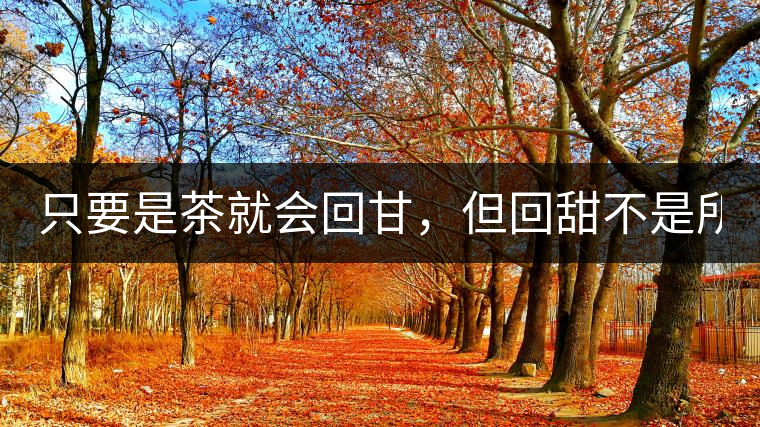 只要是茶就會回甘，但回甜不是所有茶都有！