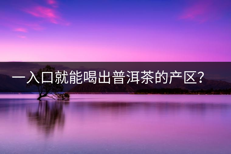 一入口就能喝出普洱茶的產(chǎn)區(qū)？怎么能不讀這篇文章呢？