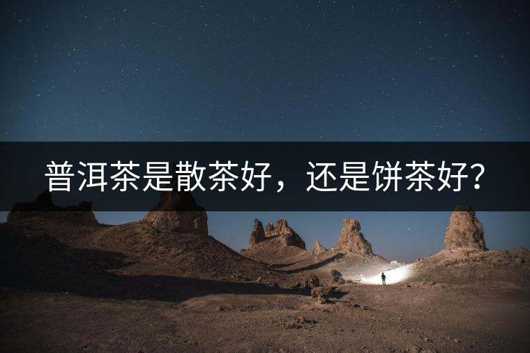 普洱茶是散茶好，還是餅茶好？