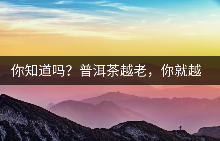 你知道嗎？普洱茶越老，你就越年輕