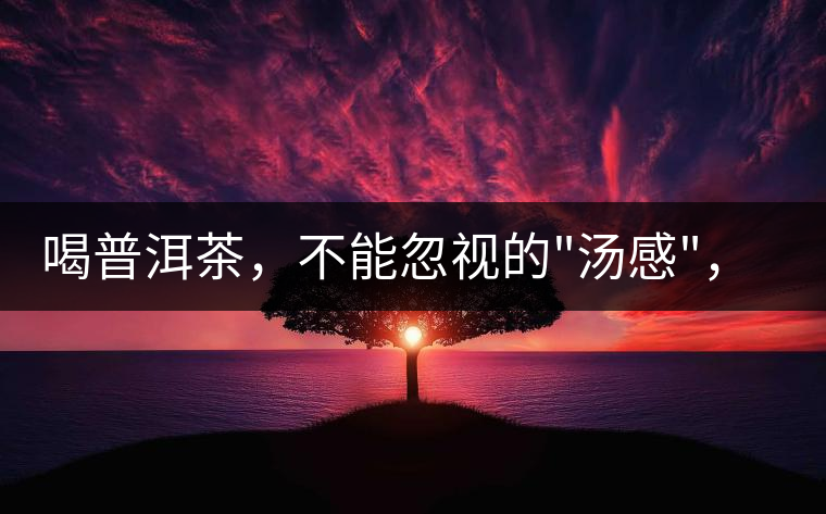 喝普洱茶，不能忽視的