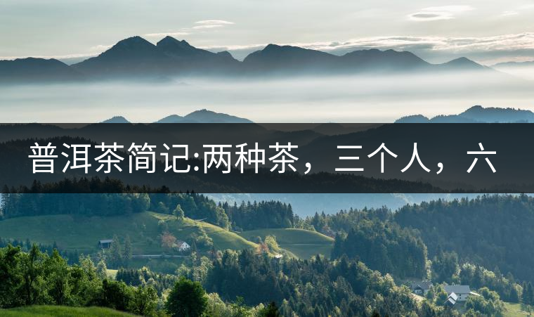 普洱茶簡記:兩種茶，三個人，六座山，七塊餅