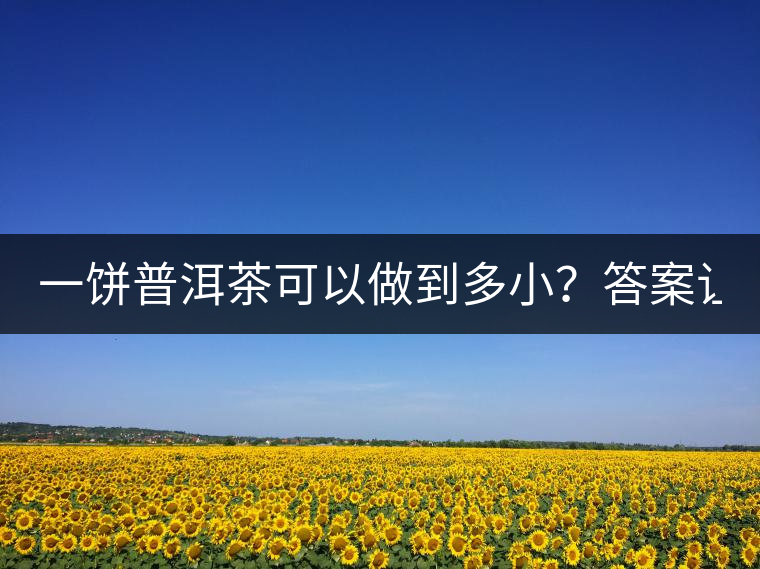 一餅普洱茶可以做到多??？答案讓人意想不到...