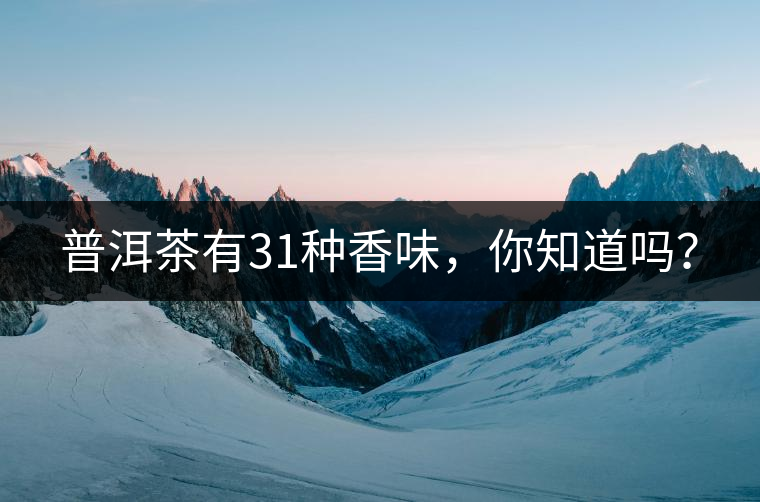 普洱茶有31種香味，你知道嗎？