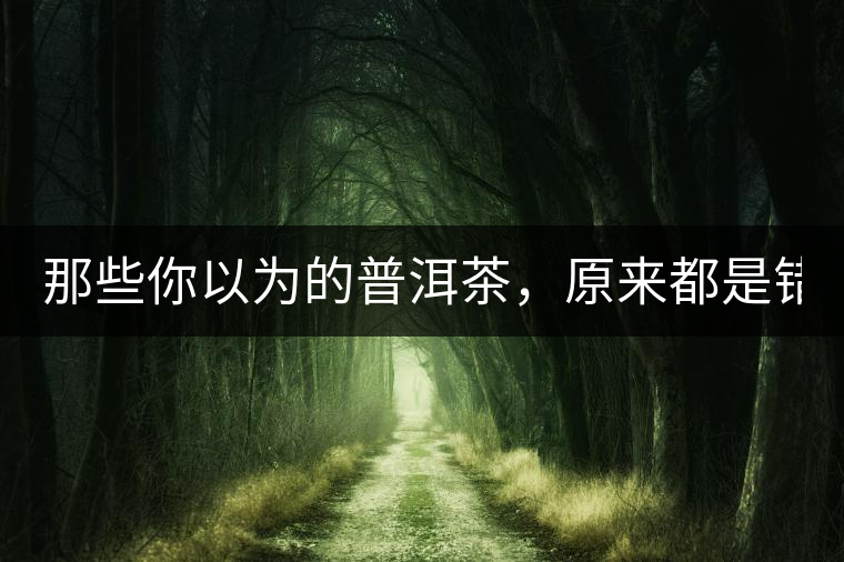 那些你以為的普洱茶，原來(lái)都是錯(cuò)的！