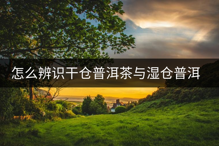 怎么辨識(shí)干倉普洱茶與濕倉普洱茶的區(qū)別？