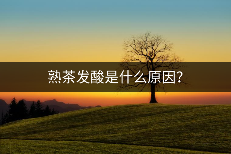 熟茶發(fā)酸是什么原因？