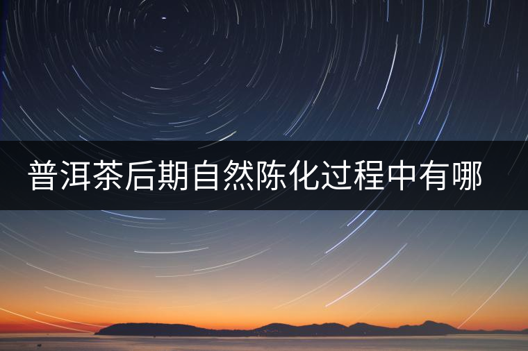 普洱茶后期自然陳化過程中有哪些變化？