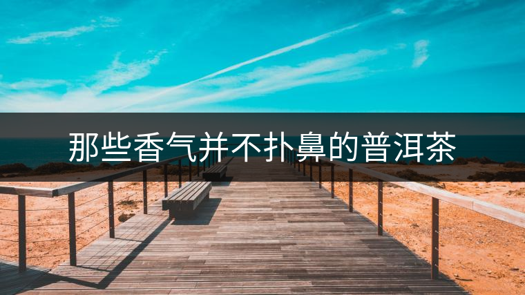 那些香氣并不撲鼻的普洱茶 那些香氣并不撲鼻的普洱茶