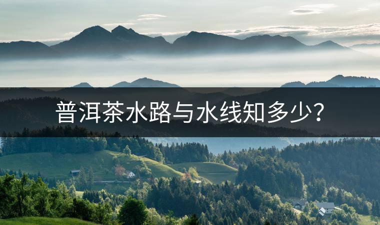 普洱茶水路與水線知多少？