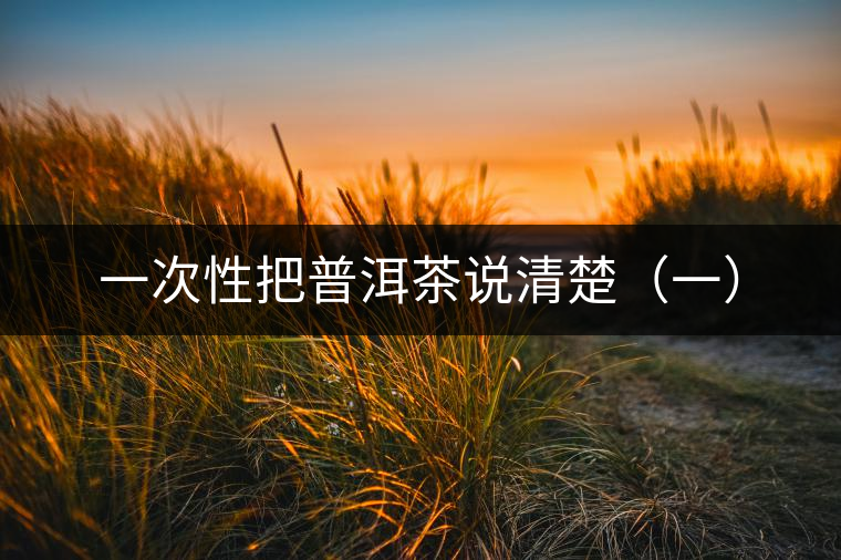 一次性把普洱茶說(shuō)清楚（一）