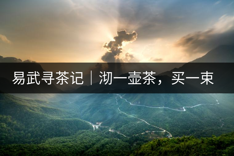 易武尋茶記｜沏一壺茶，買一束花，享半日余暇