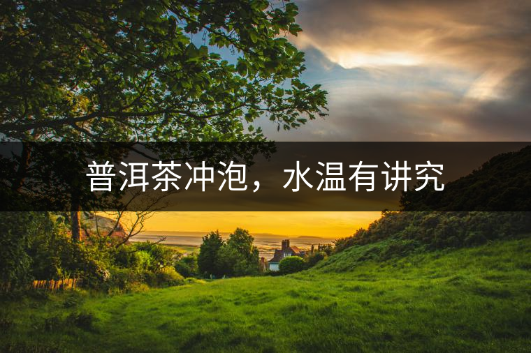 普洱茶沖泡，水溫有講究