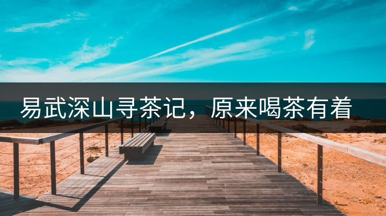 易武深山尋茶記，原來(lái)喝茶有著這么多誤區(qū)