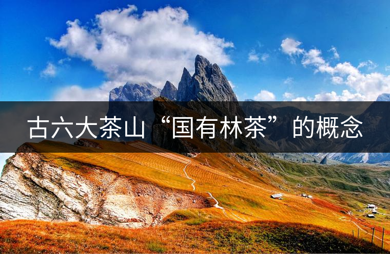 古六大茶山“國有林茶”的概念 古六大茶山“國有林茶”的概念