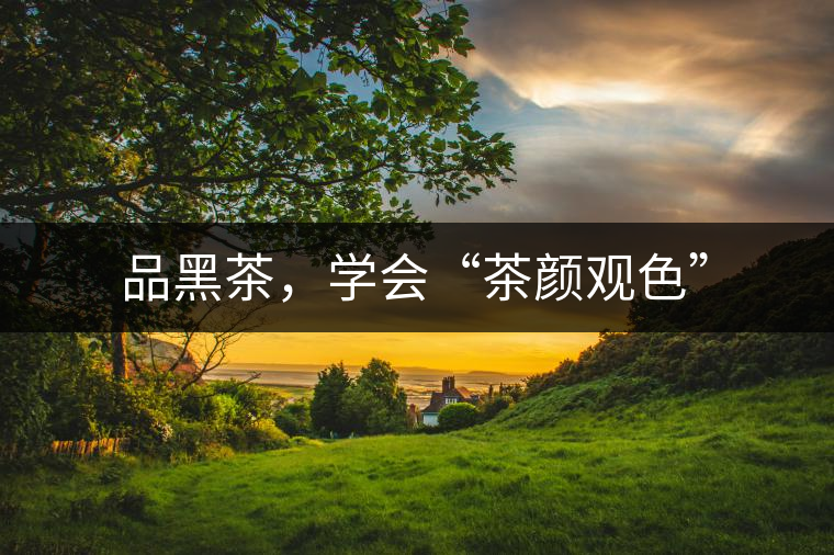 品黑茶，學會“茶顏觀色”