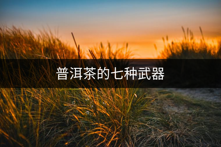 普洱茶的七種武器 普洱茶的七種武器