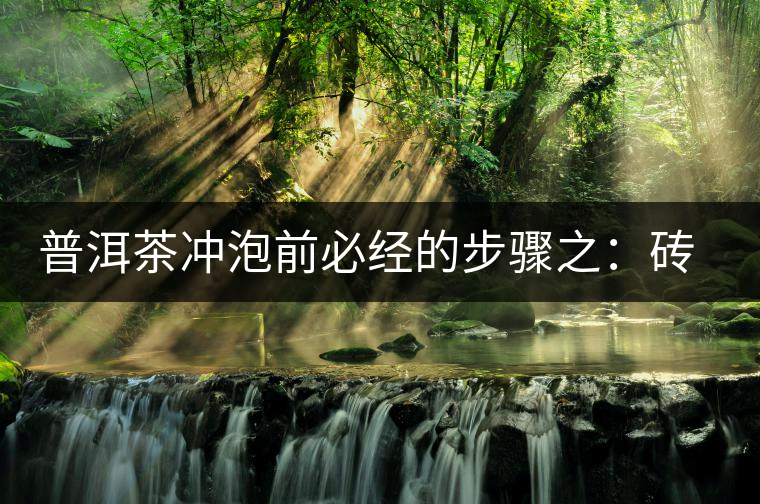 普洱茶沖泡前必經(jīng)的步驟之：磚茶如何撬？