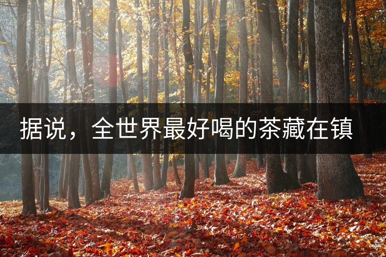 據(jù)說(shuō)，全世界最好喝的茶藏在鎮(zhèn)沅