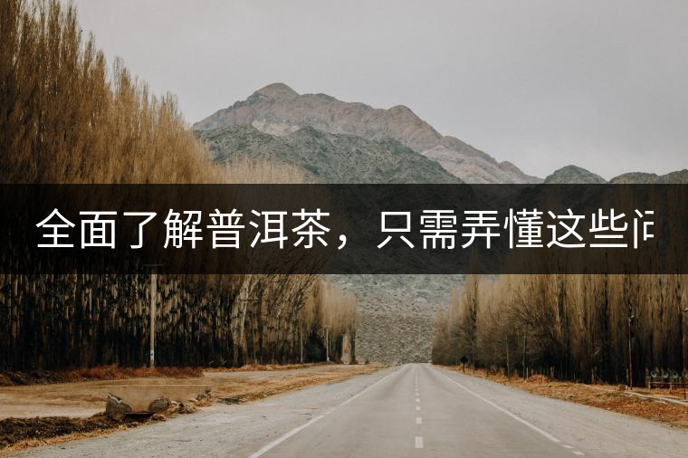 全面了解普洱茶，只需弄懂這些問(wèn)題！