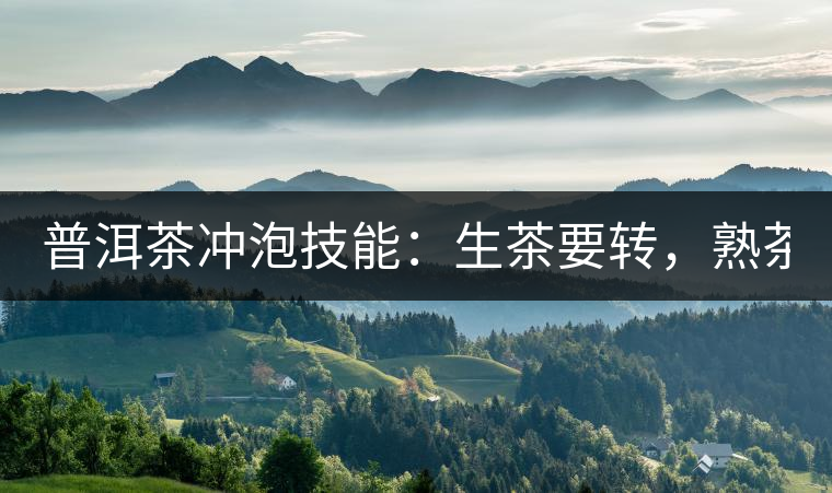 普洱茶沖泡技能：生茶要轉(zhuǎn)，熟茶要柔！