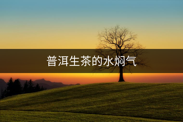 普洱生茶的水燜氣