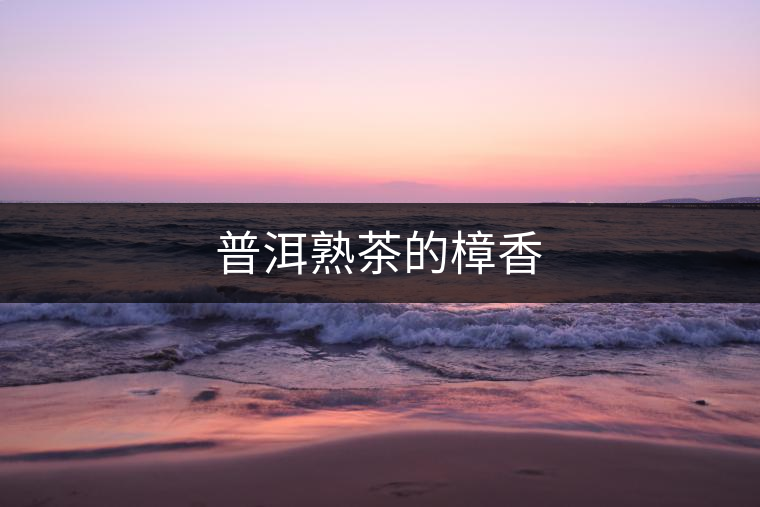 普洱熟茶的樟香 普洱熟茶的樟香
